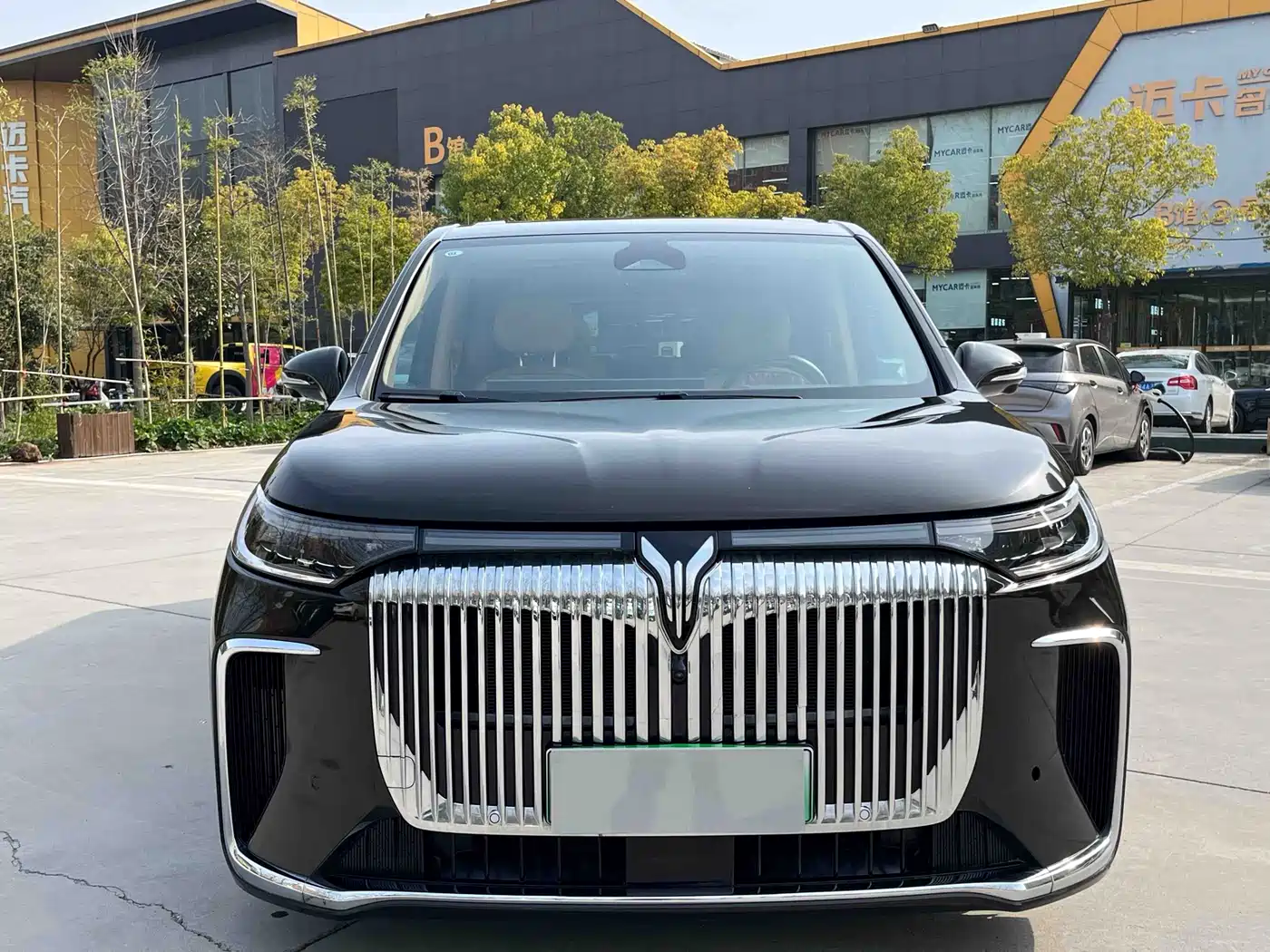 Voyah Auto Voyah Dreamer 2025 PHEV AWD Flagship Kunpeng Edition фото 7