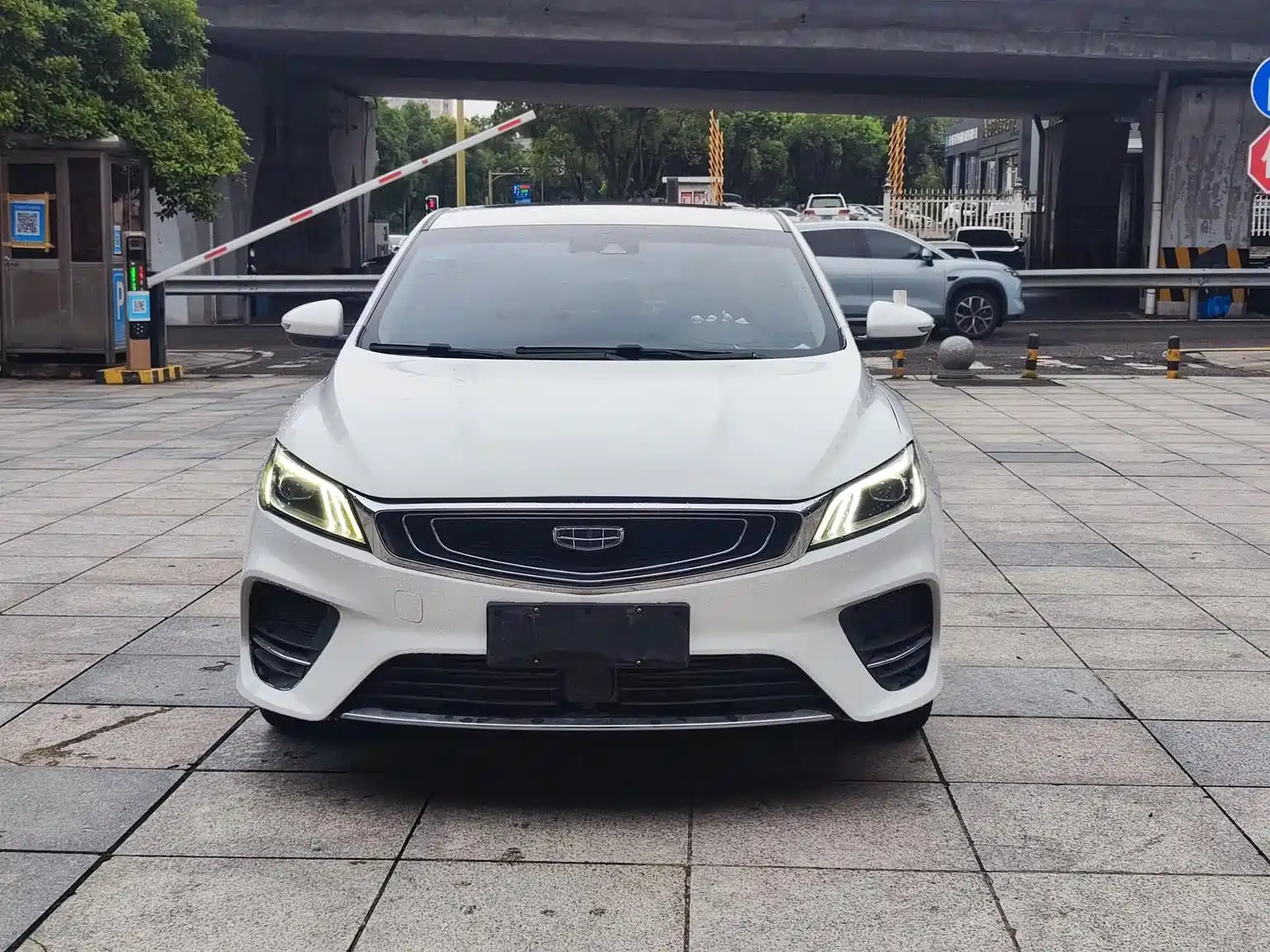Фото 2 - Geely Binrui