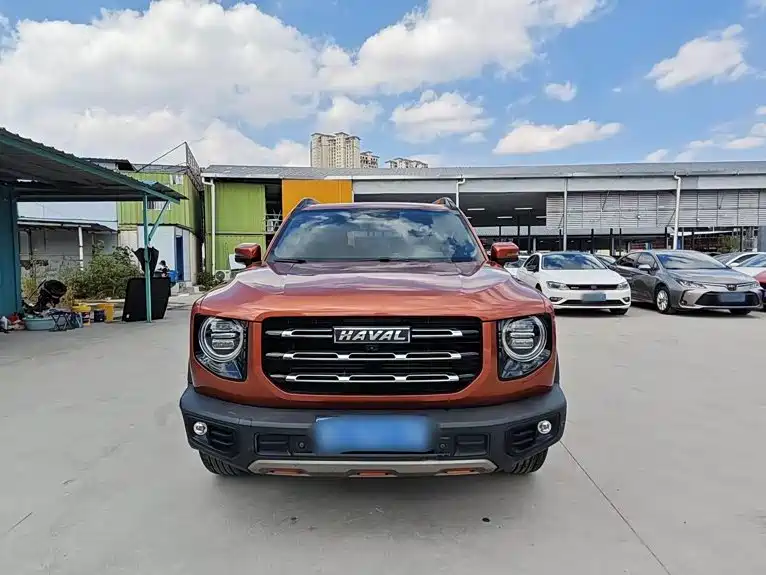 Haval Dargo 2021 2021 1.5T DCT 2WD Border Collie Edition