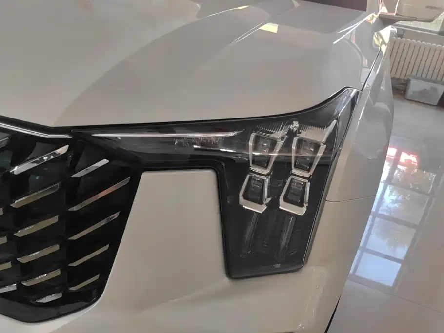 GAC Trumpchi Trumpchi GS8 2024 2025 Pilot Series 2.0TGDI 2WD Luxury Edition 5-seater