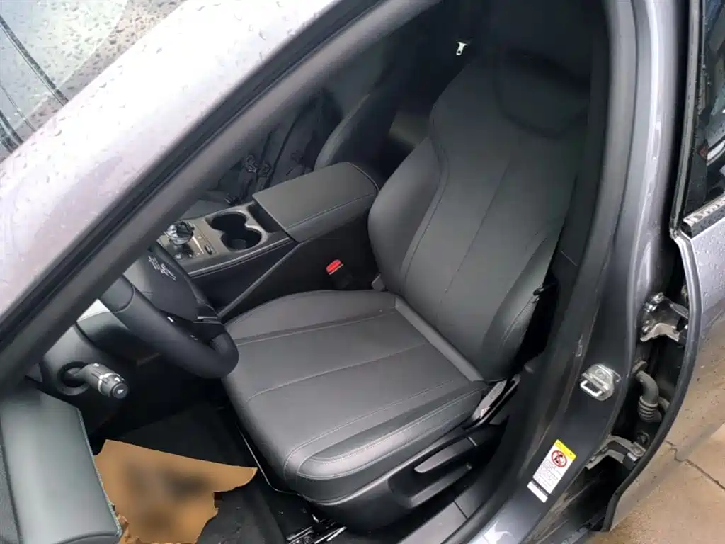 BYD Qin PLUS 2025 DM-i Smart Drive 55KM Leader фото 15