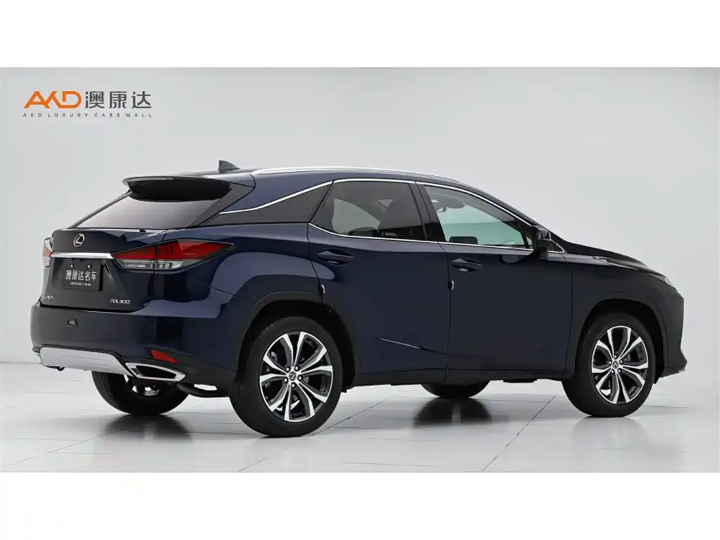 Lexus RX 2020 300 4WD Elegance Edition China VI фото 3