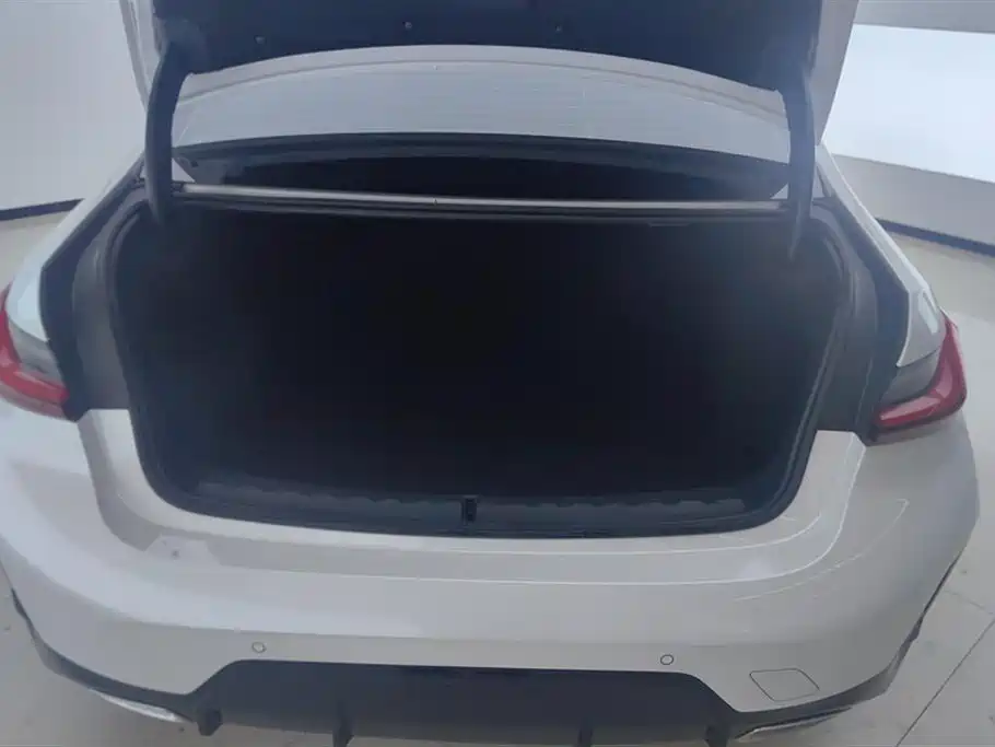 BMW 3 Series 2025 325Li M Sport Package фото 4