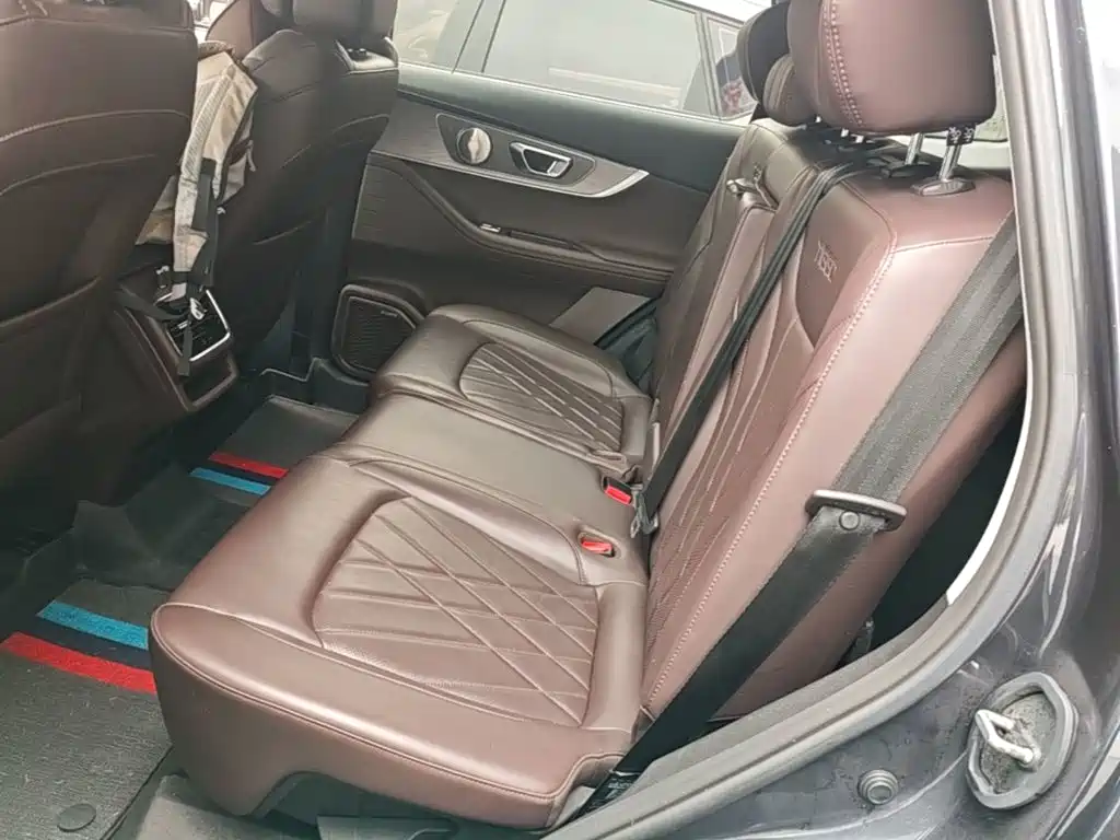 Chery Tiggo 8 PLUS 2024 2024 Champion Edition 290TGDI DCT Haoxiang Version (5-seater)