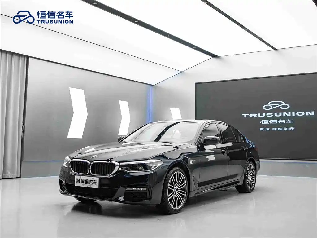 BMW 5 Series (Import) 2019 530i M Sport Package фото 3
