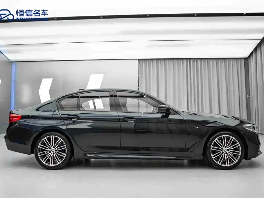BMW 5 Series (Import) 2019 530i M Sport Package фото 4