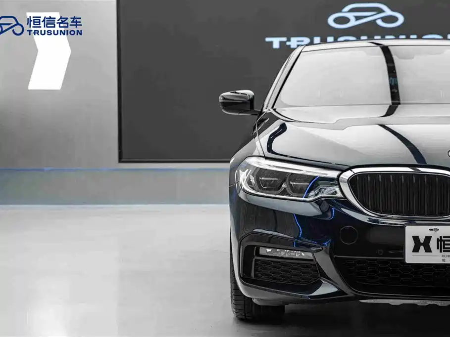 BMW 5 Series (Import) 2019 530i M Sport Package фото 8