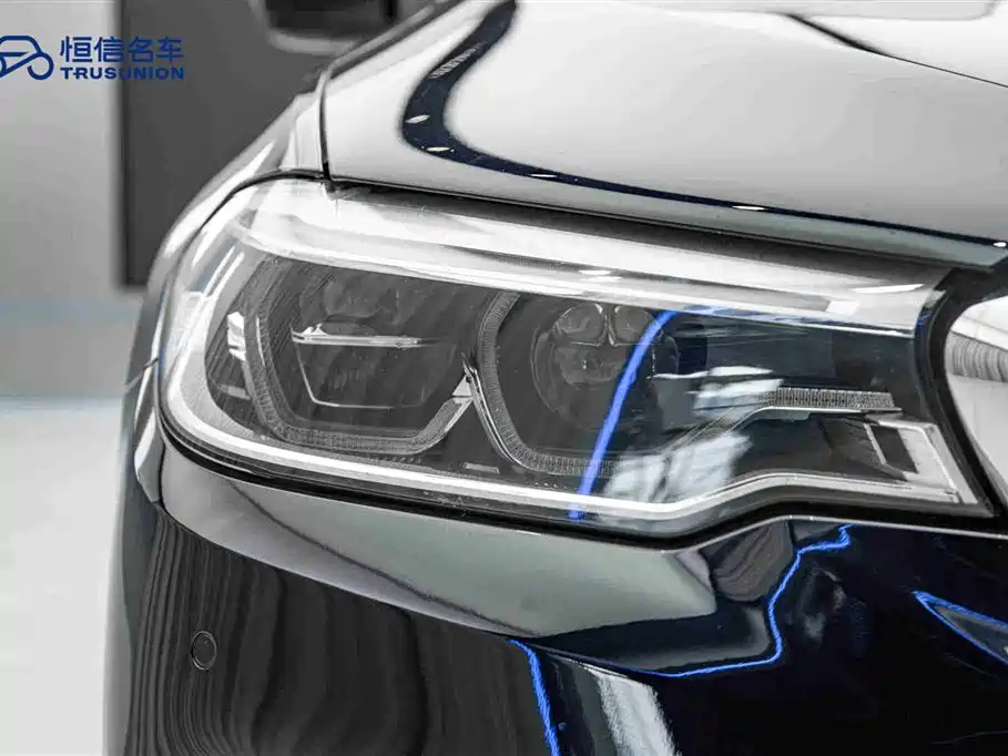 BMW 5 Series 2019 530Li Leading M Sport Package фото 10