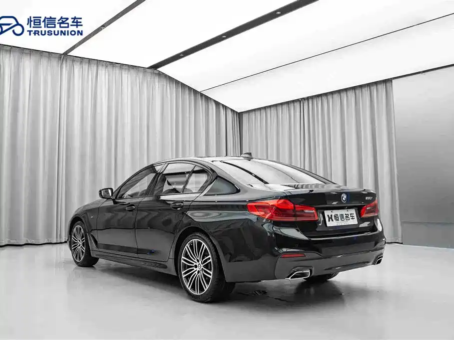 BMW 5 Series (Import) 2019 530i M Sport Package фото 7