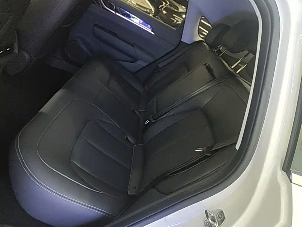 Wuling Motors Wuling Xingguang 2026 2025 150km Smart Advanced