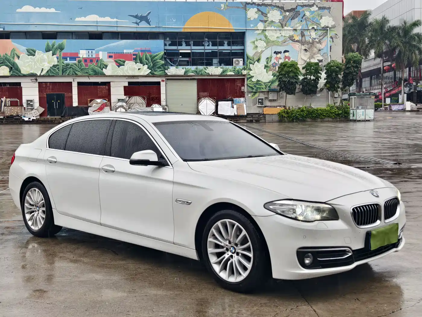 BMW 5 Series 2014 525Li Luxury Design Package фото 7
