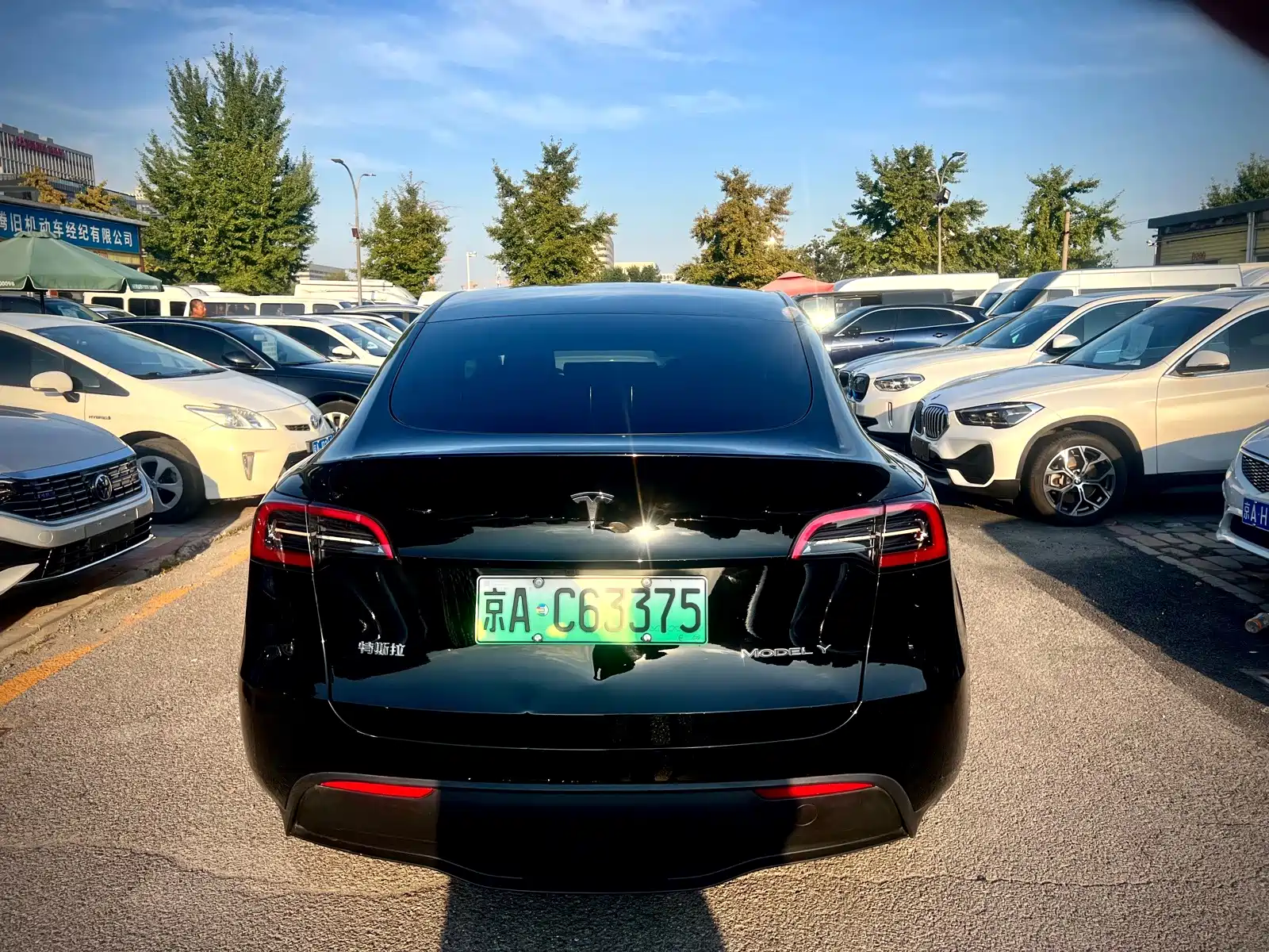Photo 6 - Tesla Model Y