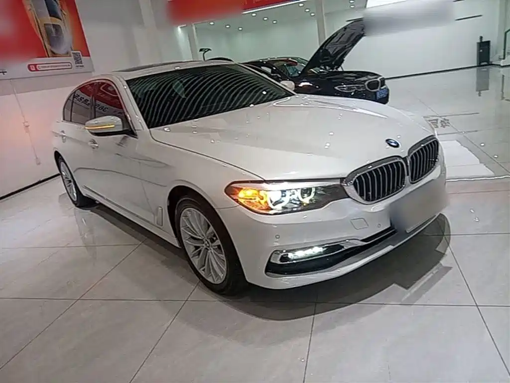 BMW 5 Series 2018 Facelift 530Li Leading Luxury Package фото 4