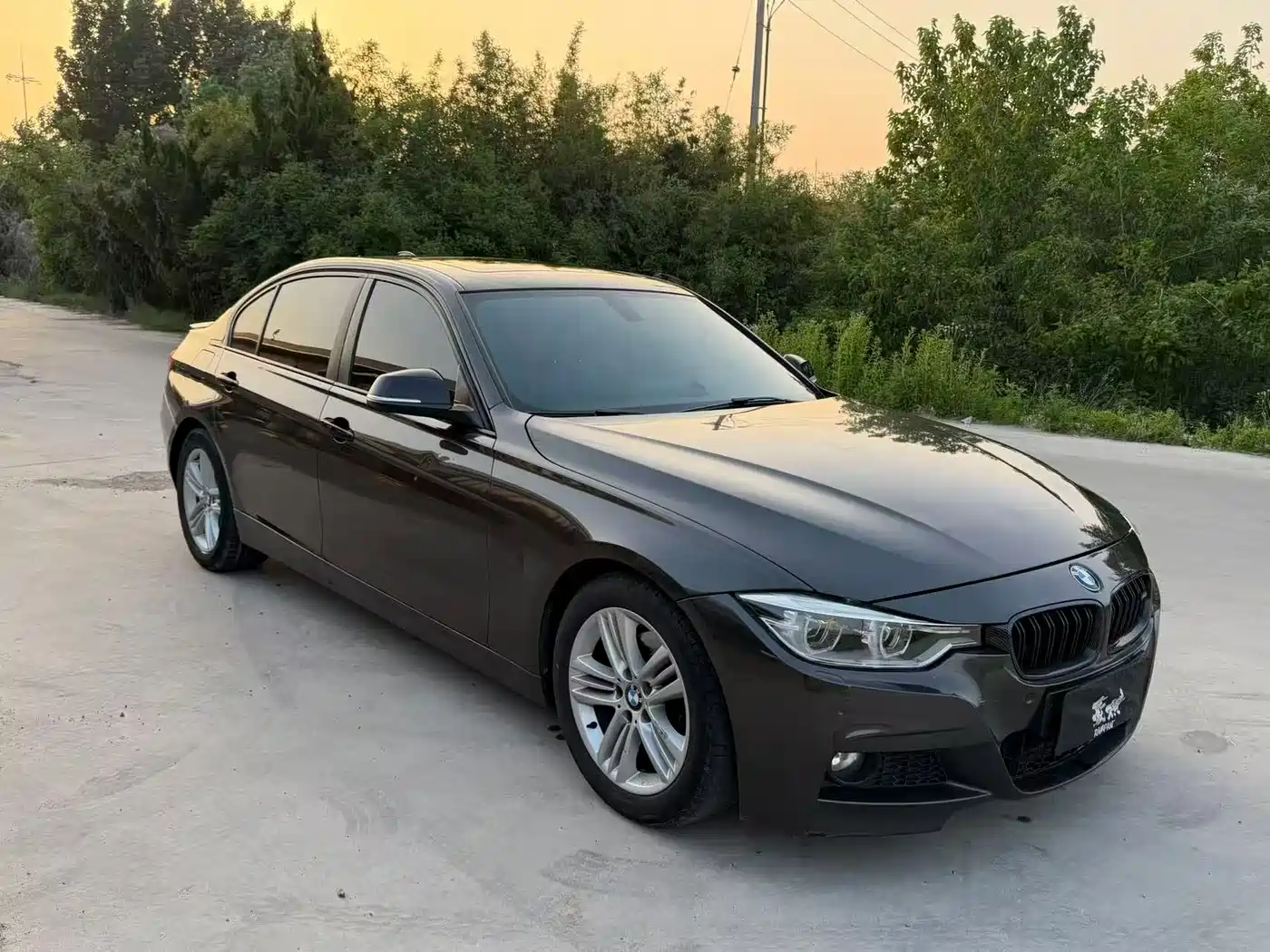BMW 3 Series 2017 320Li Fashion фото 6