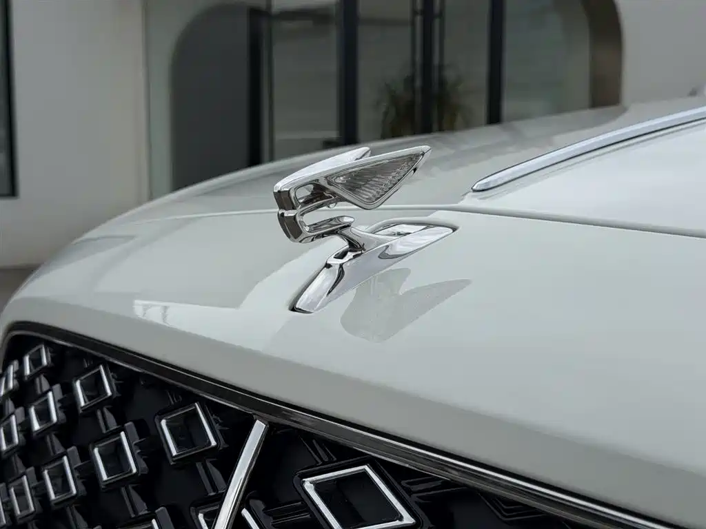 Bentley Flying Spur Plug-in Hybrid 2025 Model Year 4.0T V8 Mulliner фото 11