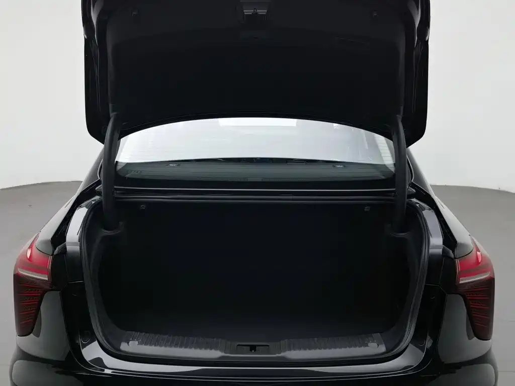 Hongqi H5, миниатюра 16