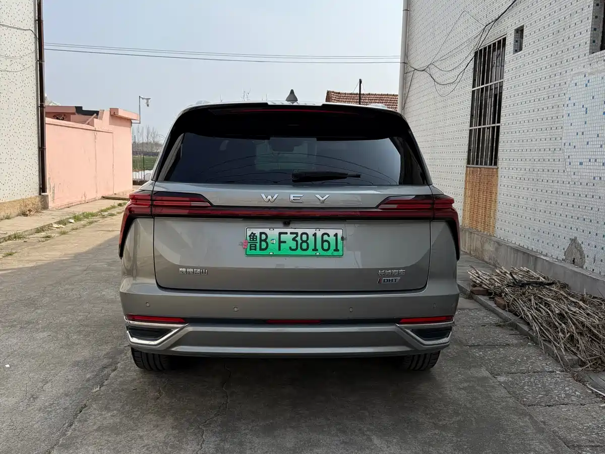 WEI PAI WEI BRAND BLUE MOUNTAIN