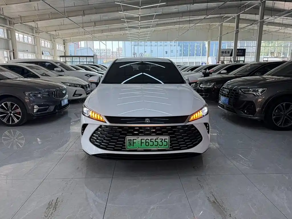 Фото 2 - BYD Qin PLUS