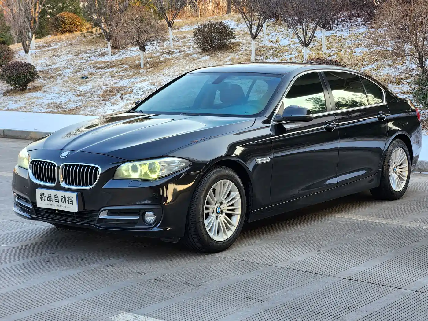 BMW 5 Series 2014 525Li Leading фото 2