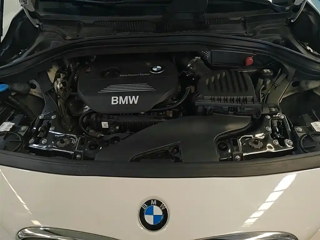 BMW 2 Series Gran Tourer 2015 218i Leading фото 20