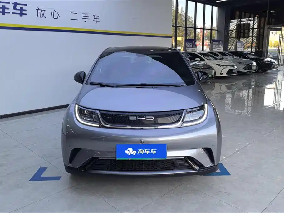 BYD DOLPHIN