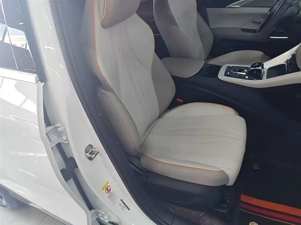BYD Song Pro New Energy 2024 Glory Edition DM-i 71KM Leading фото 25