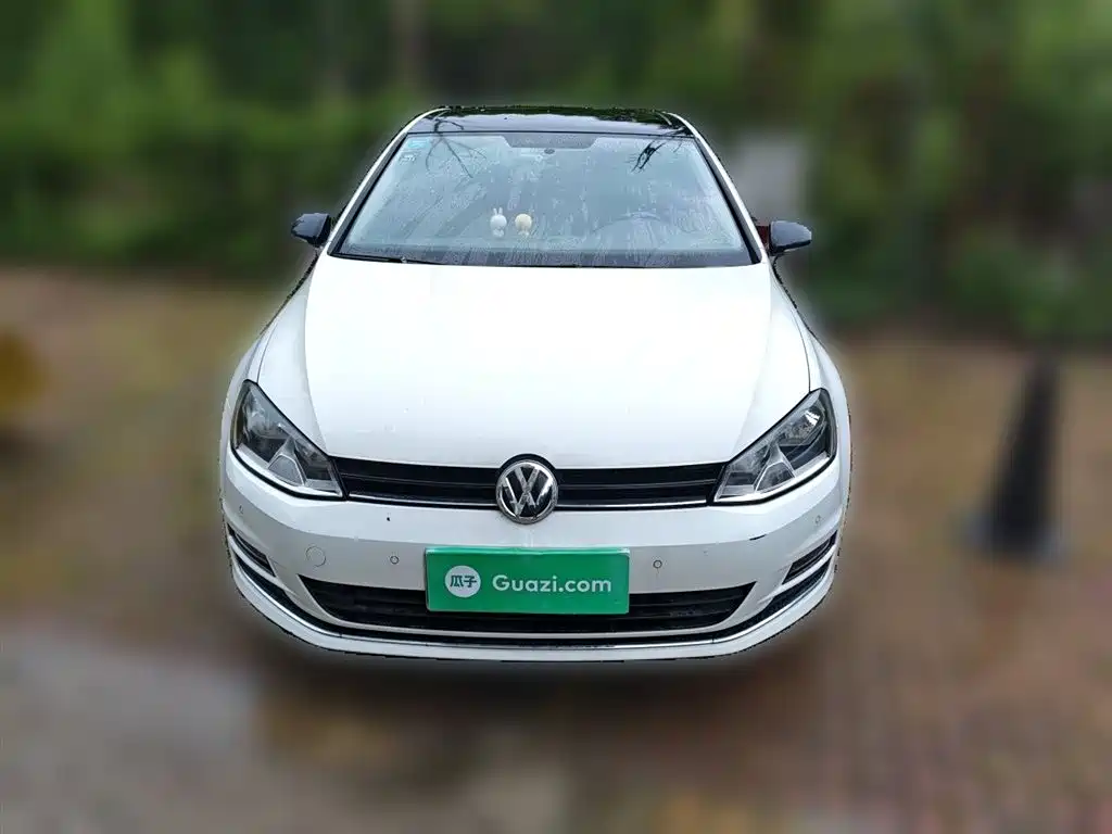 Volkswagen Golf 2017 230TSI Auto Comfort Millionth Anniversary Edition фото 2