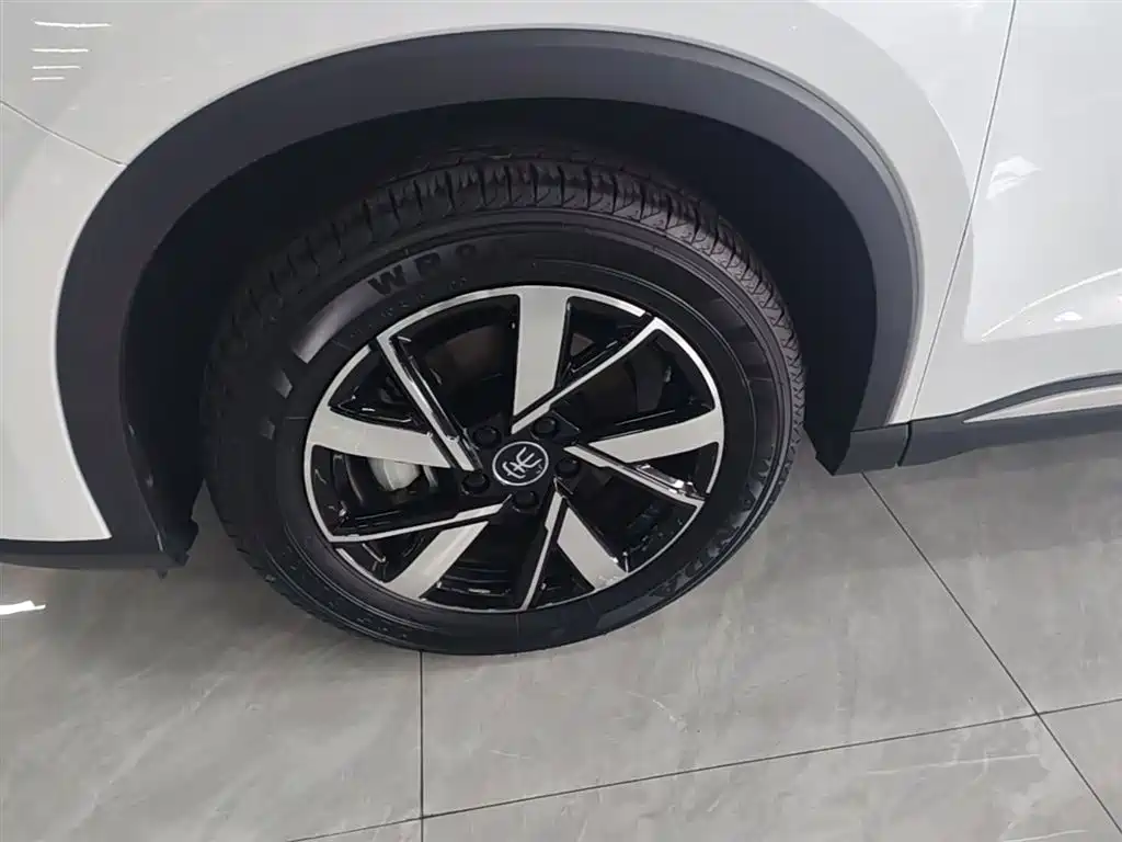 BYD Song Pro New Energy 2024 Glory Edition DM-i 71KM Leading фото 23