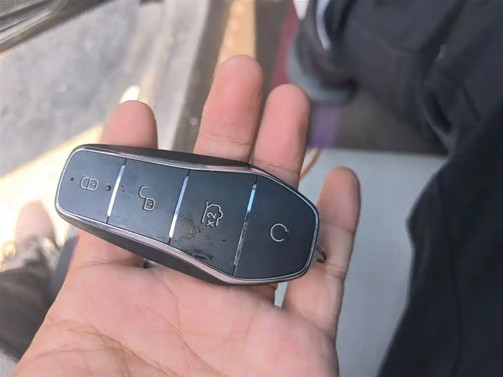 BYD Qin PLUS 2023 Champion Edition DM-i 55KM Surpassing фото 9