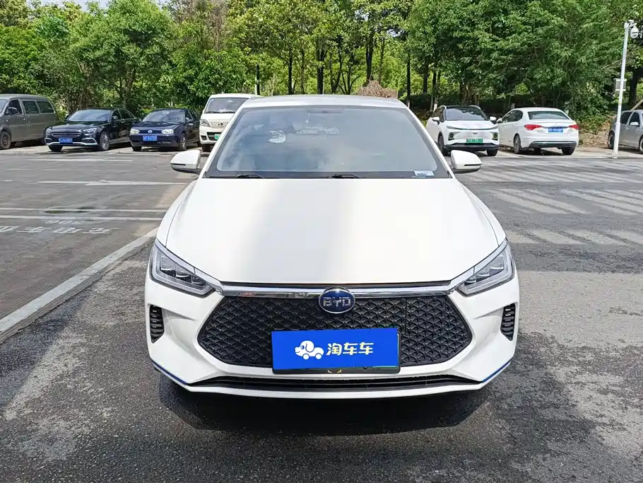 BYD e2 2020 Upgrade Standard Range Standard Model фото 2