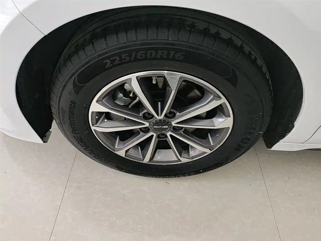 BYD Destroyer 05 2024 Glory Edition DM-i 55KM Luxury фото 23