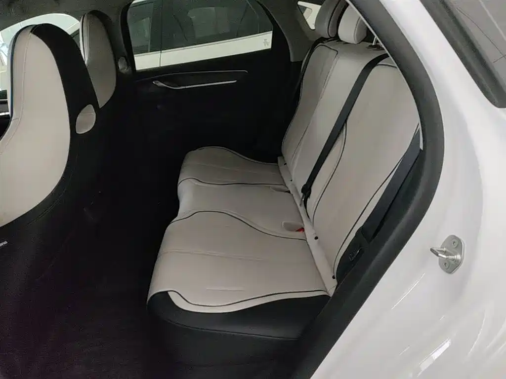 BYD Destroyer 05 2024 Glory Edition DM-i 55KM Luxury фото 17