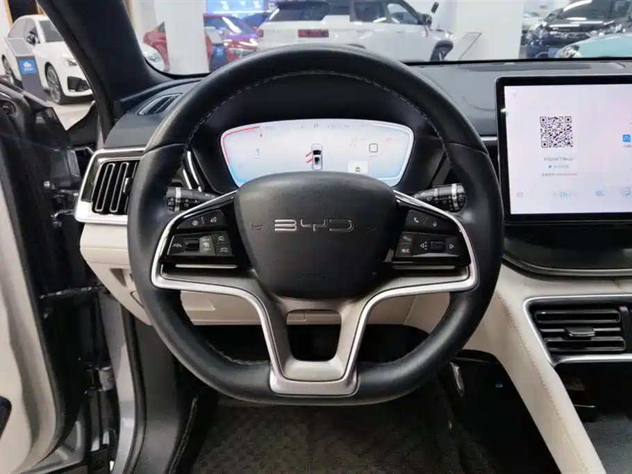 BYD SONGJIANG NEW ENERGY