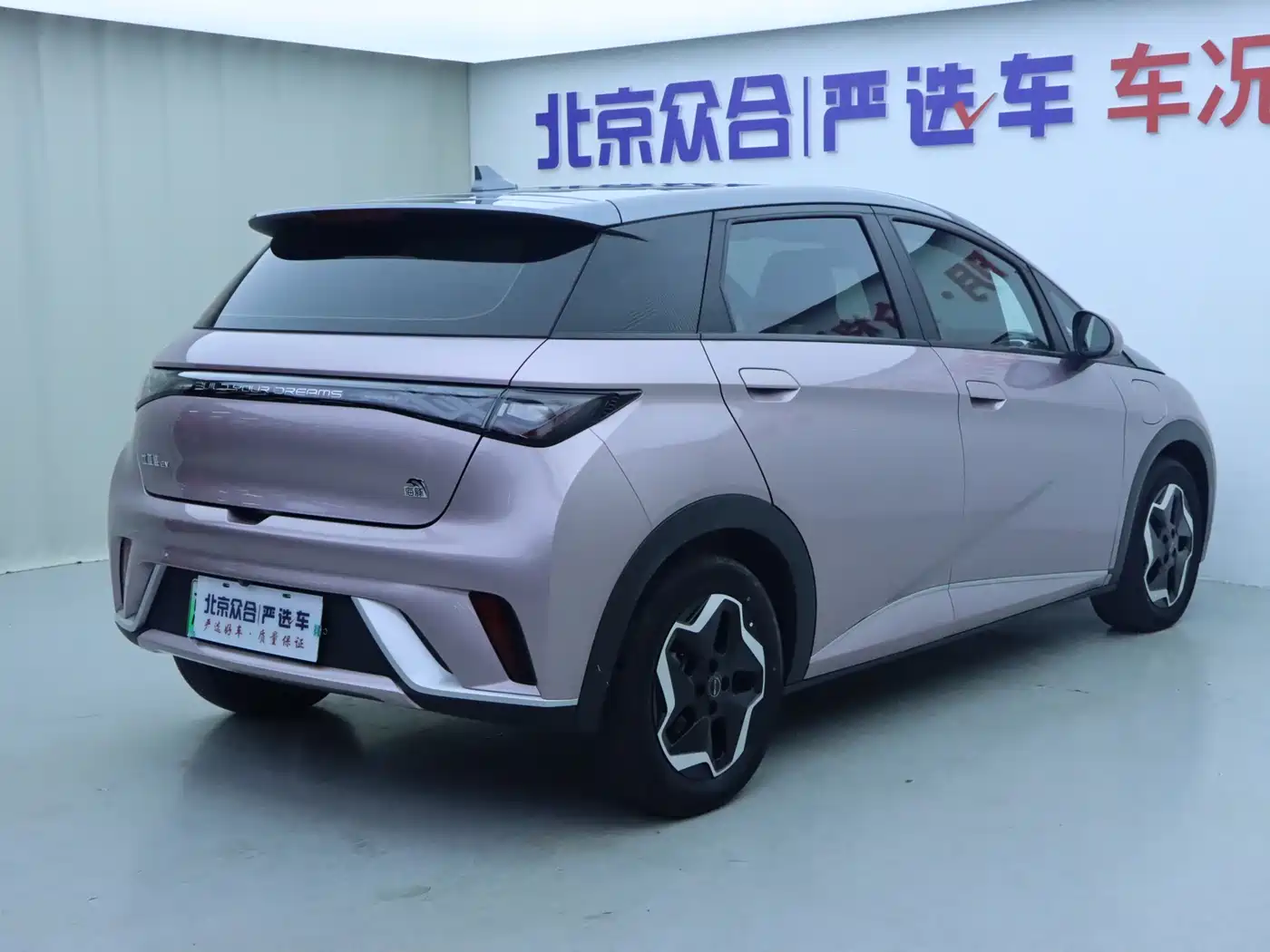BYD Dolphin 2021 Model 405km Fashion Edition фото 23
