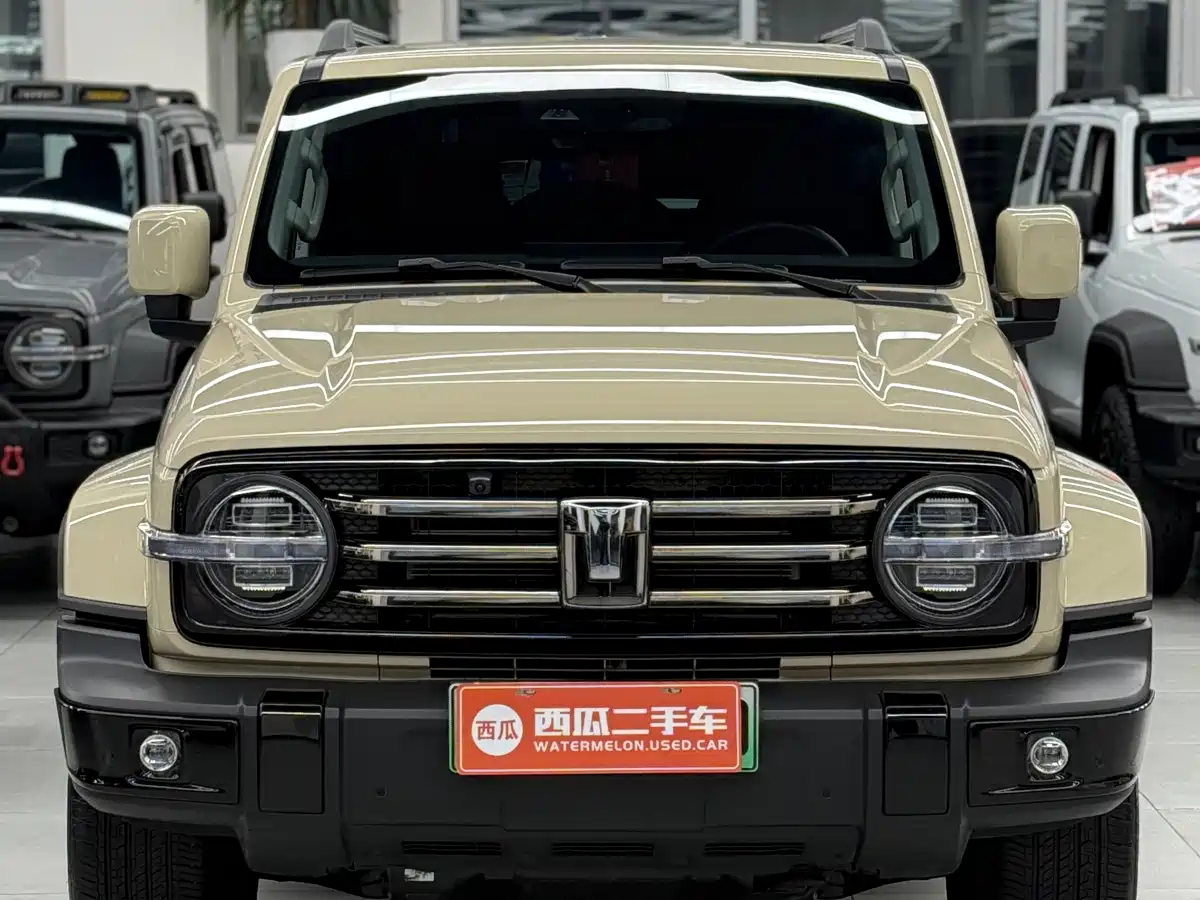 TANK TANK 300 NEW ENERGY