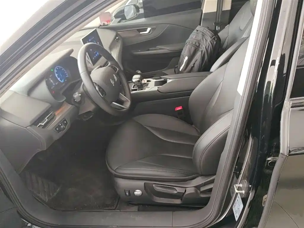 Hongqi E-QM5 2023 Facelift Basic Travel Edition фото 15