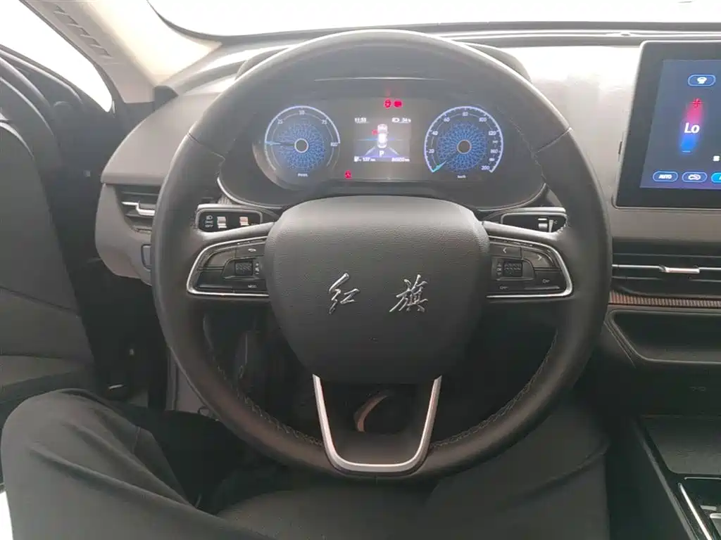 Hongqi E-QM5 2023 Facelift Basic Travel Edition фото 11