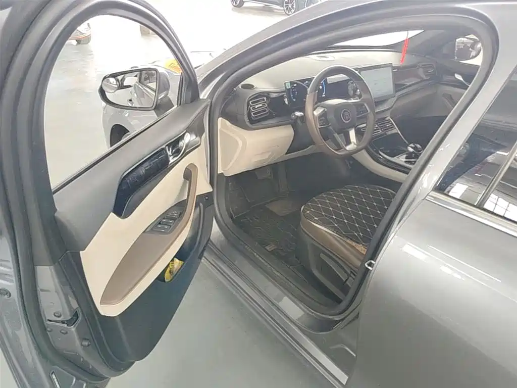 BYD Qin PLUS 2024 Glory Edition DM-i 55KM Leading фото 16