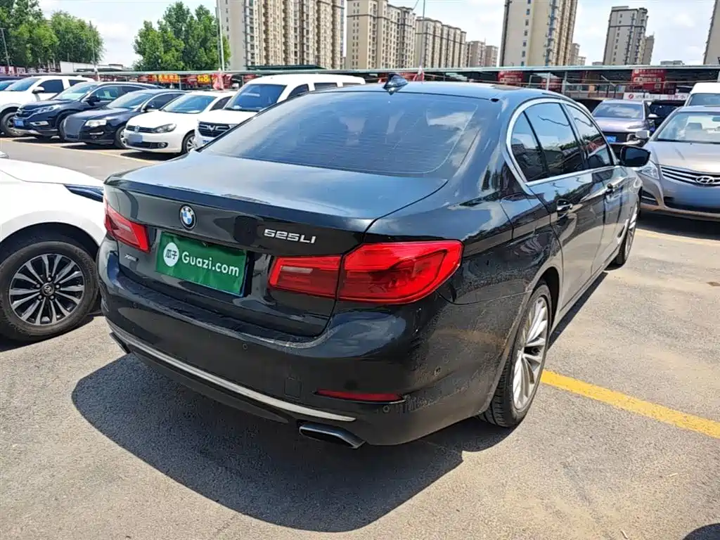 BMW 5 Series 2019 Facelift 525Li Luxury Package фото 7