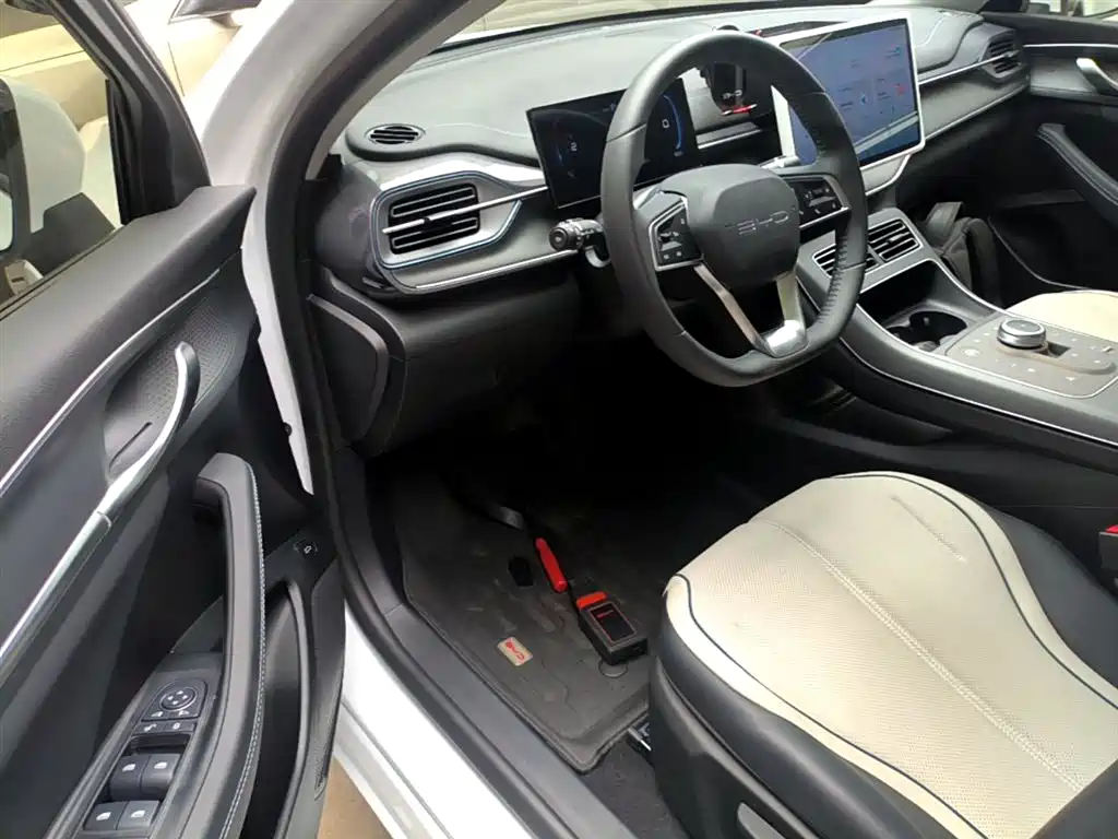 BYD Destroyer 05 2024 Glory Edition DM-i 55KM Luxury фото 16