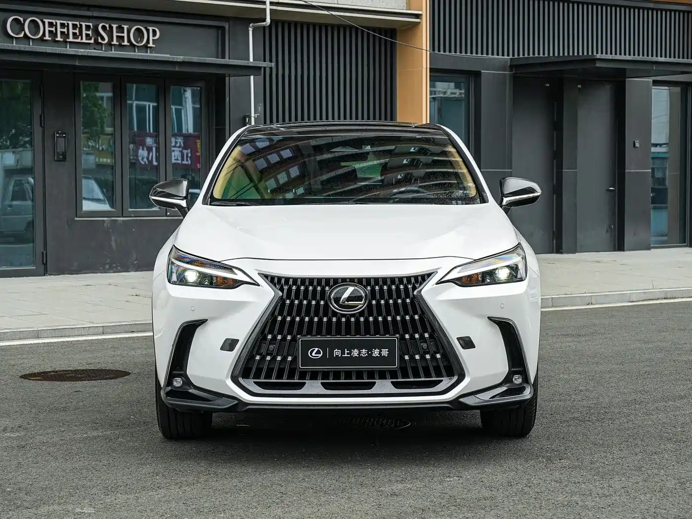 Lexus NX 2025 260 FWD Special Edition фото 2