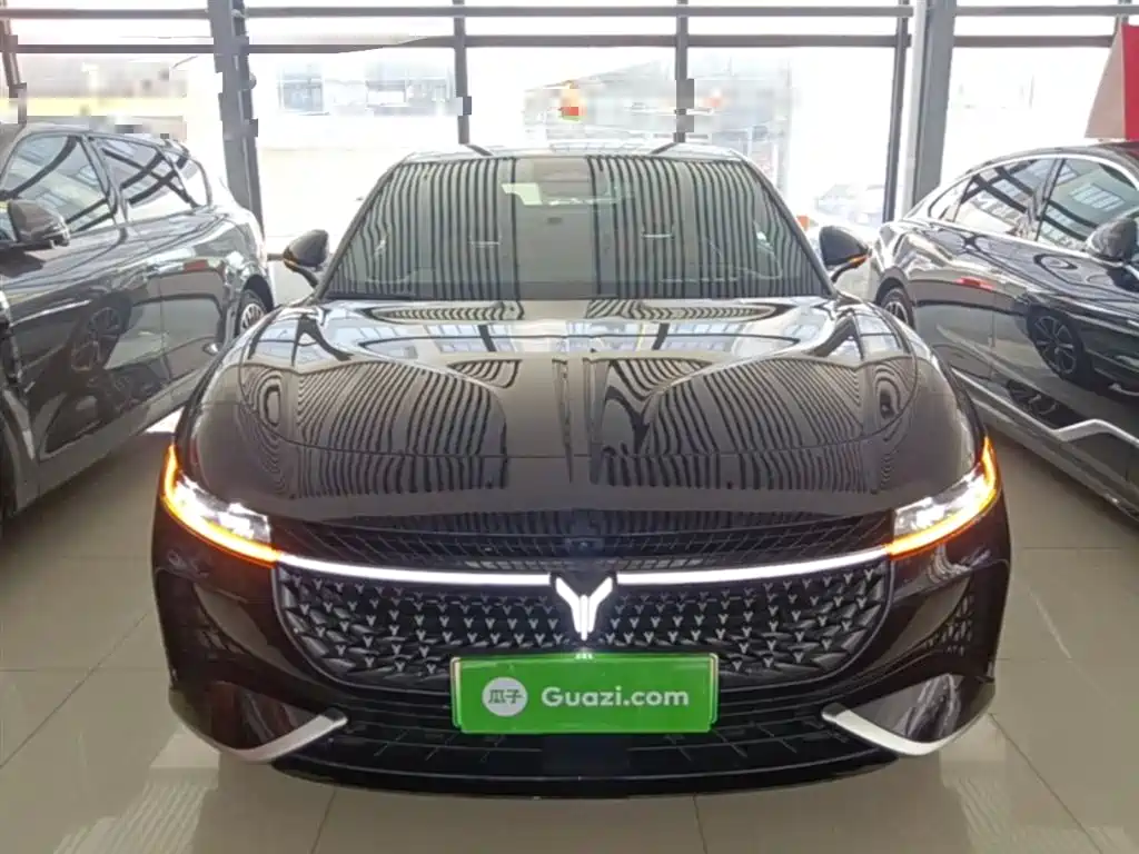 Voyah Auto VOYAH Zhuiguang 2024 PHEV AWD Ultra Long Range Flagship фото 3