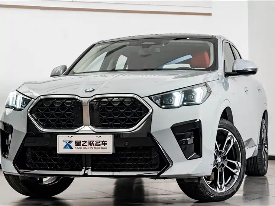 BMW X2 (Import) 2024 sDrive25i M Sport Package фото 3