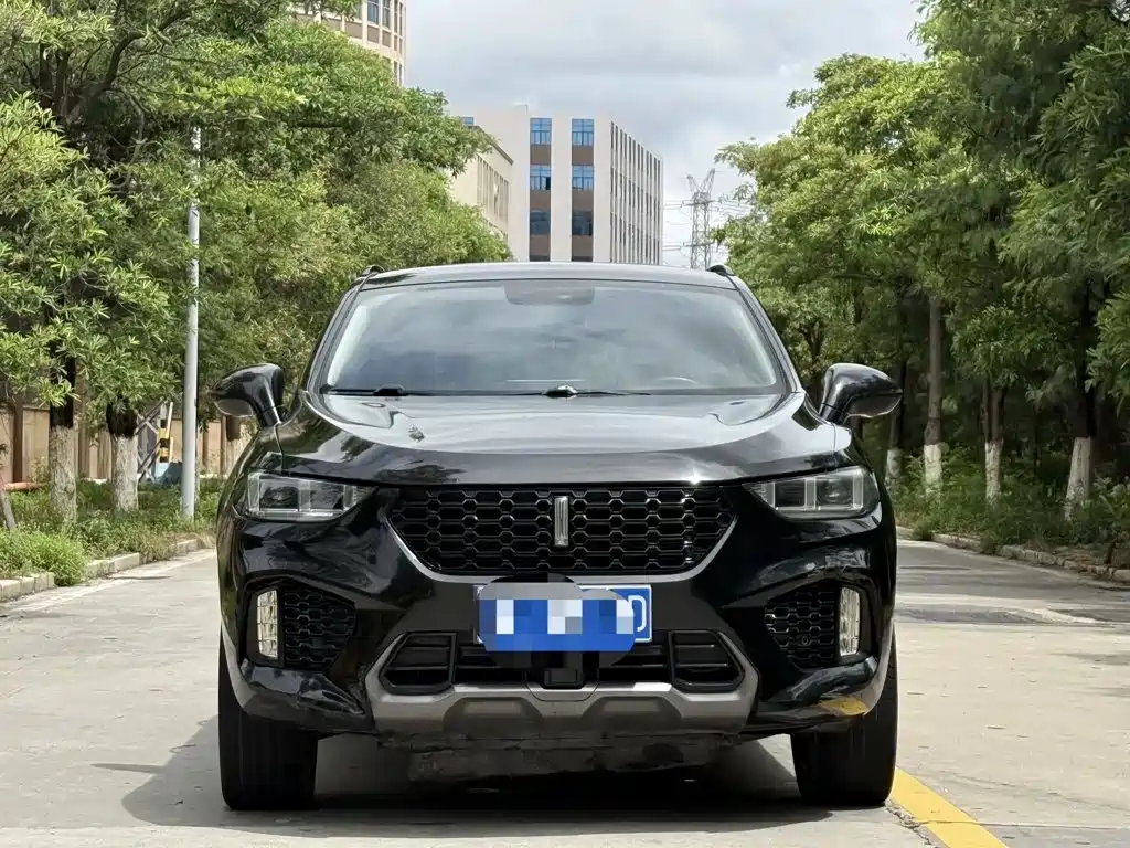WEY VV5 2018 2017 2.0T Super Luxury Model