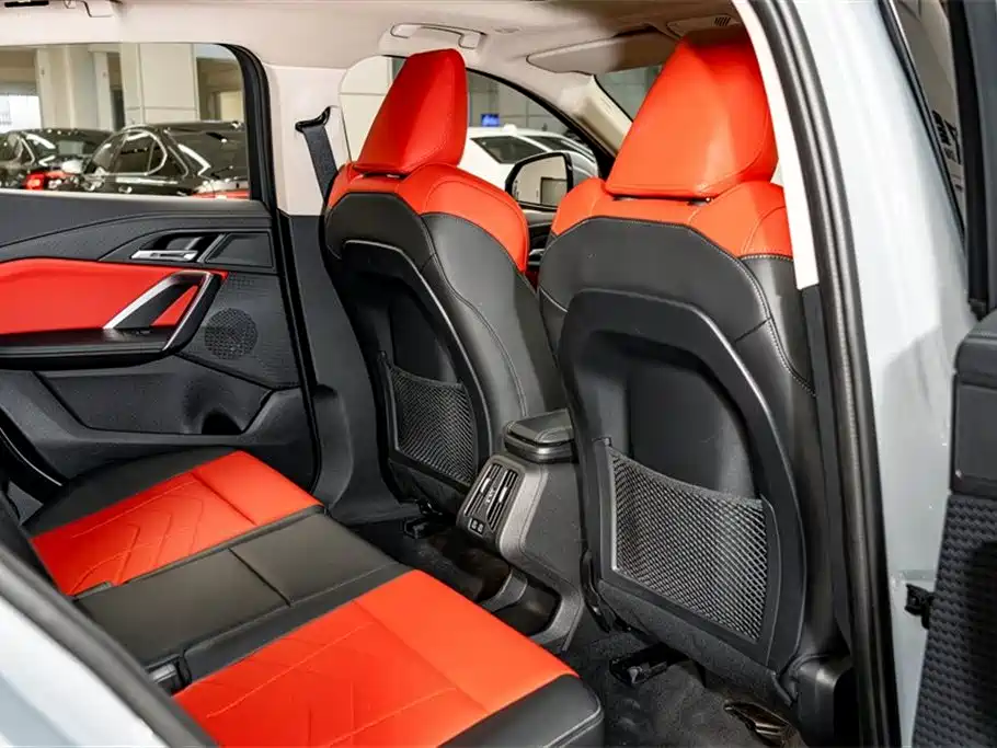 BMW X2 (Import) 2024 sDrive25i M Sport Package фото 22