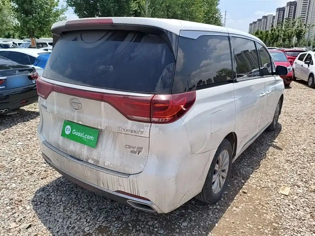 GAC Trumpchi Trumpchi M8 2018 320T Exclusive Edition фото 7