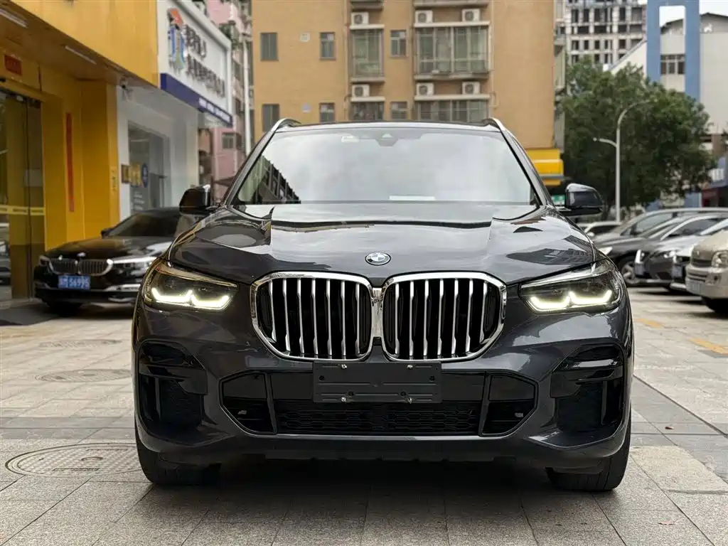 BMW X5 (Import) 2021 xDrive30i M Sport Package фото 3