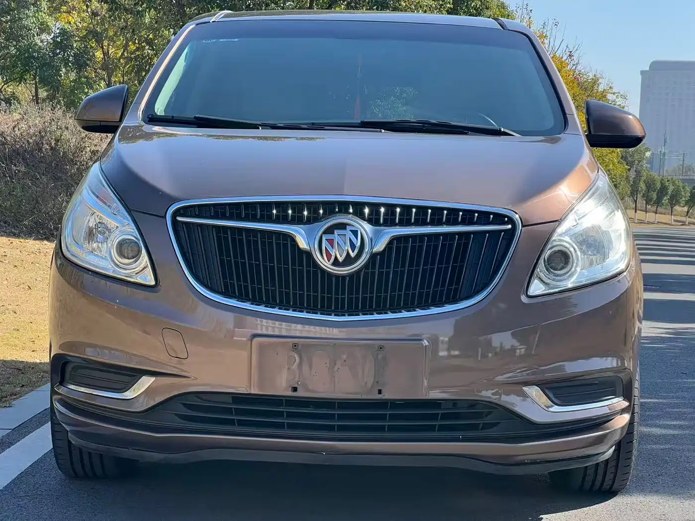 Buick GL8 2018 28T Luxury Model China VI фото 2