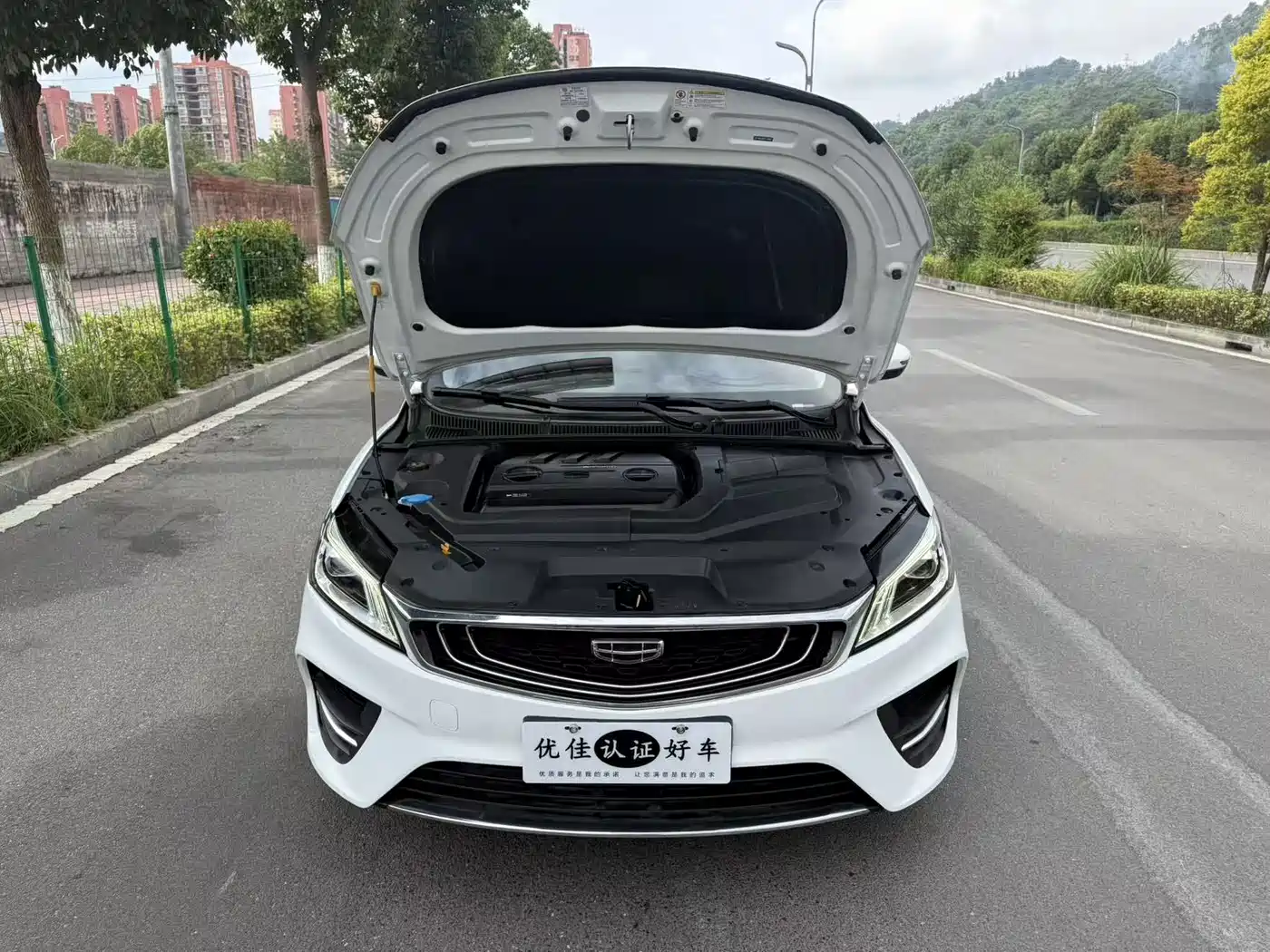 Geely Binrui 2019 2019 200T DCT Binzhi Edition