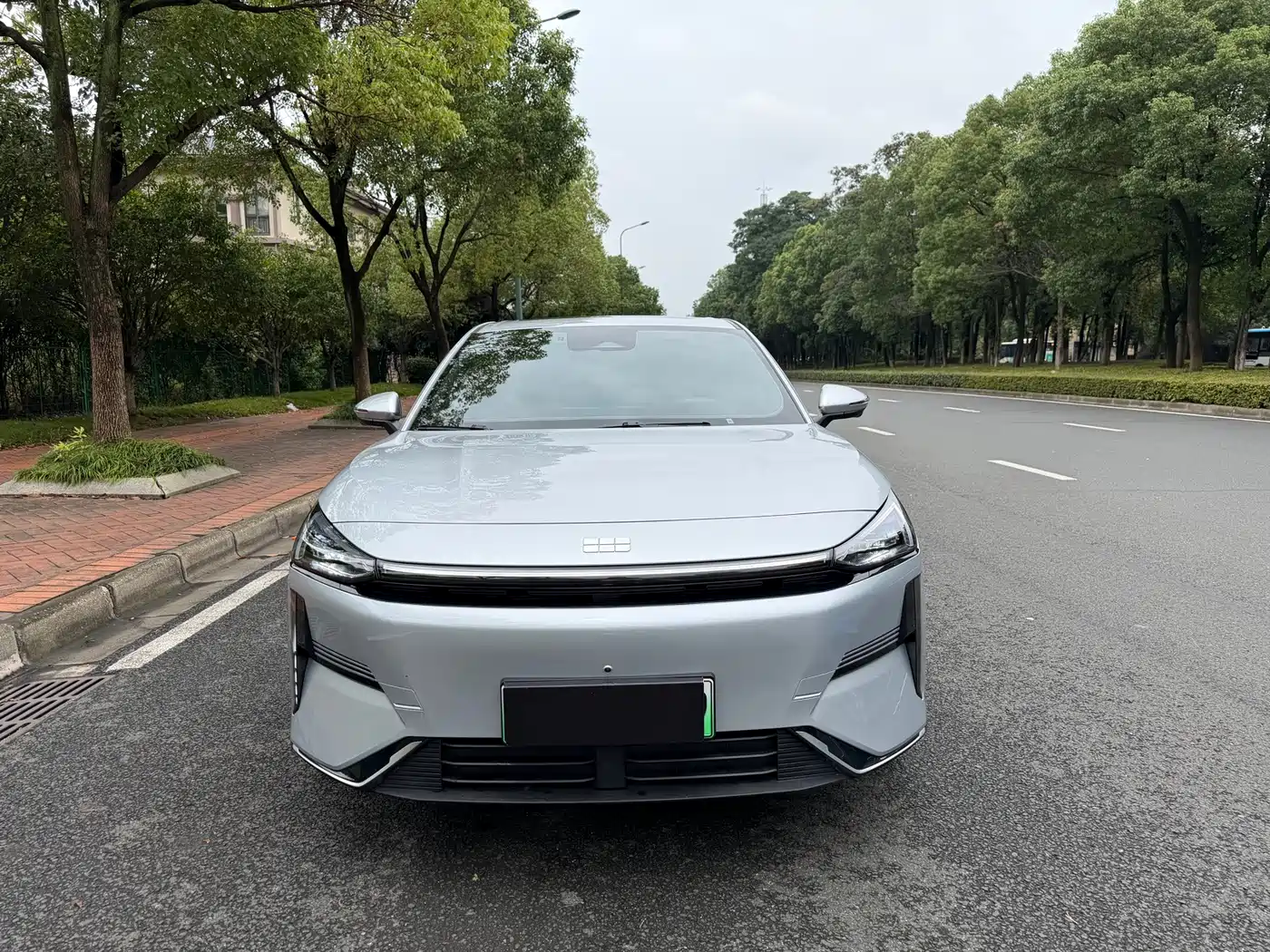 Geely Galaxy Galaxy L6 2025 2025 EM-i 140km Voyage Edition